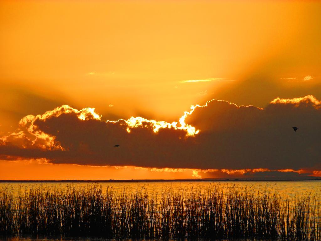 Lake Albert Caravan Park Hotel Meningie Luaran gambar