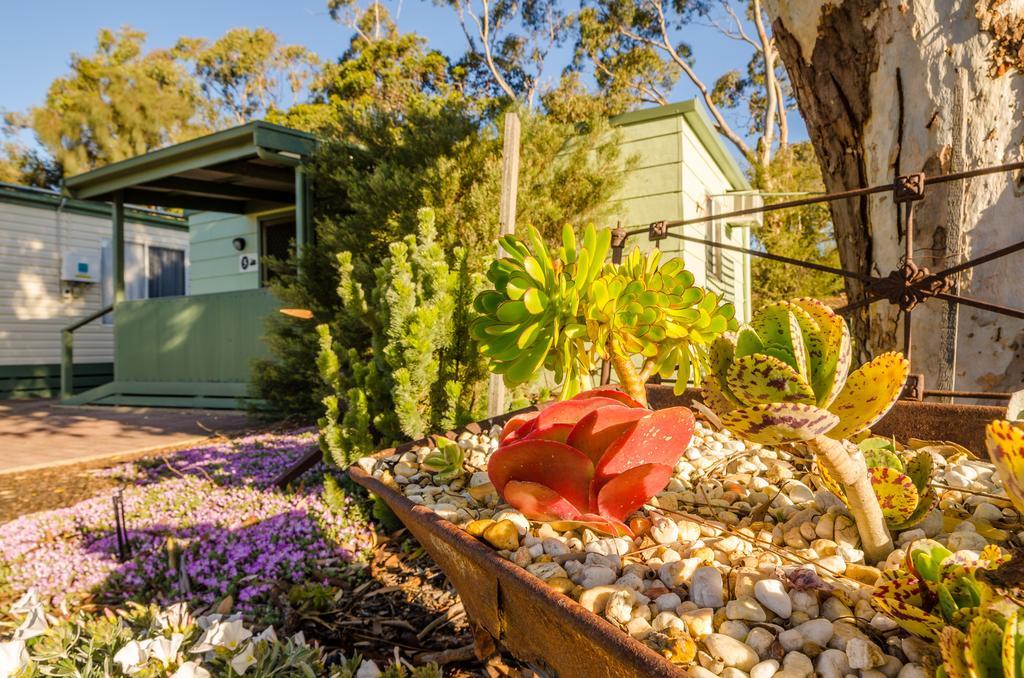 Lake Albert Caravan Park Hotel Meningie Luaran gambar